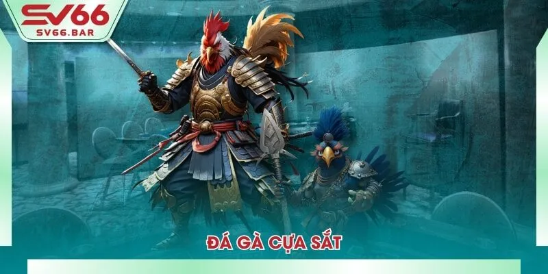 Đá gà cựa sắt